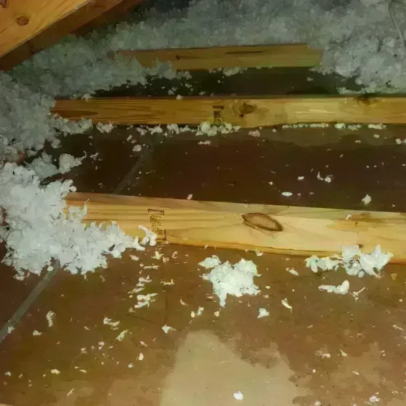 Attic Water Damage in Russellville, AR