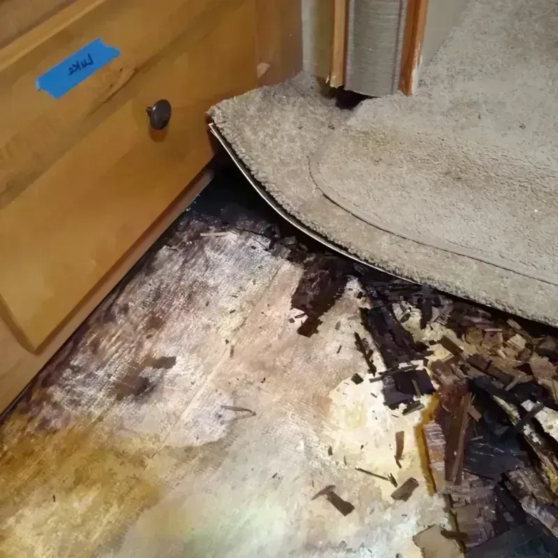 Wood Floor Water Damage in Russellville, AR